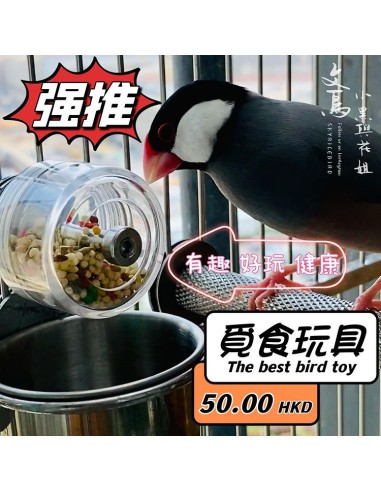 幸福摩天輪 (掛鳥籠版)